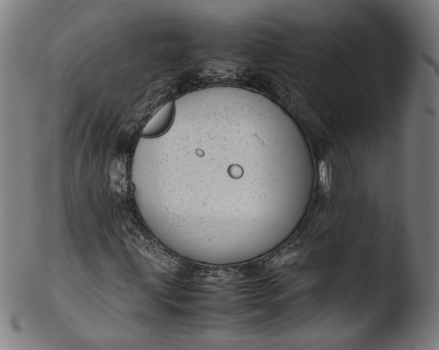 X0000103411203200809261635