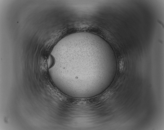 X0000103411204200809261635