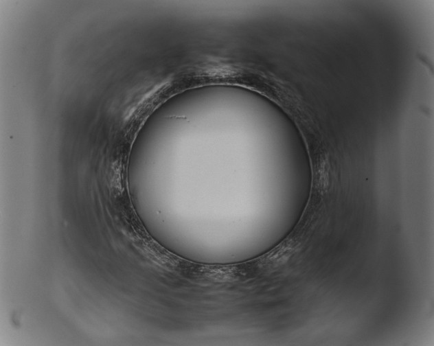 X0000103411205200809261635