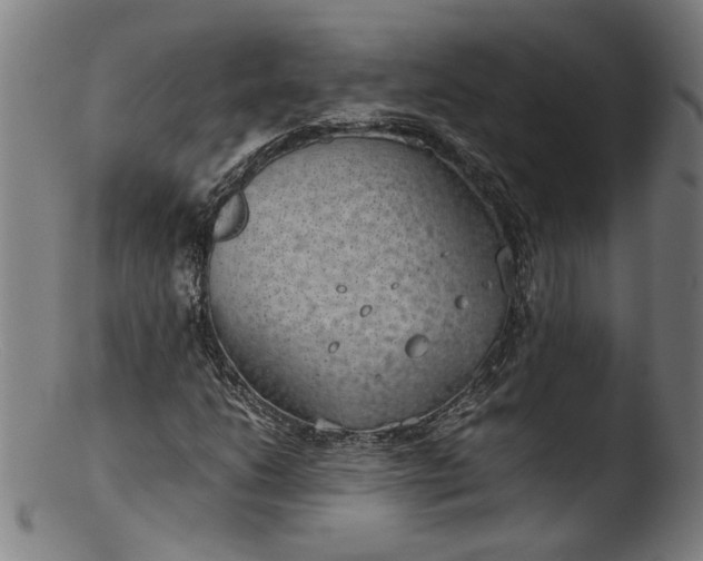 X0000103411206200809261635