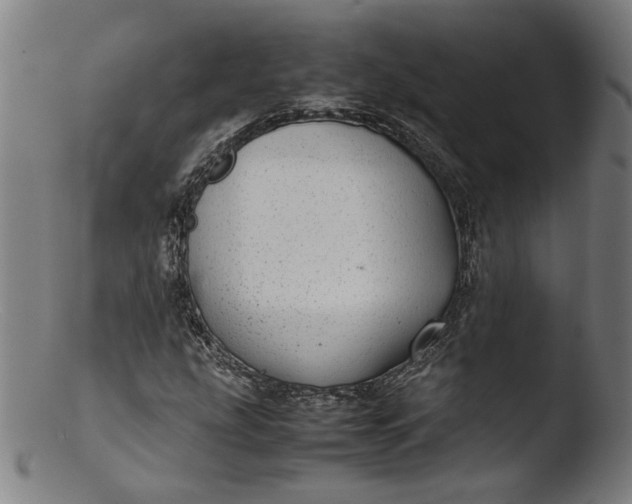 X0000103411207200809261635