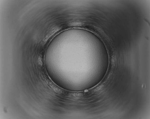 X0000103411209200809261635