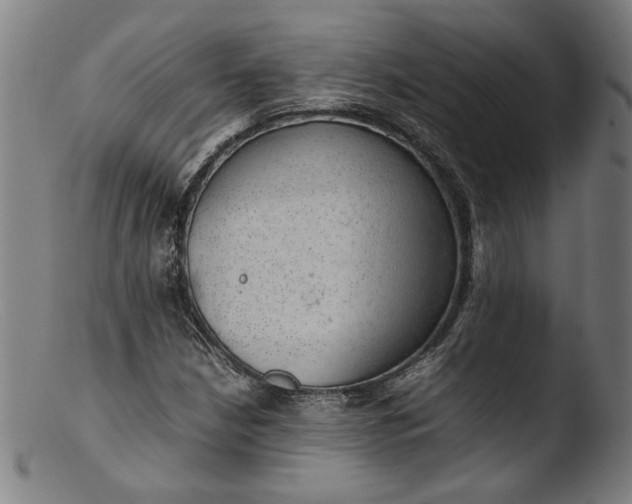 X0000103411210200809261635