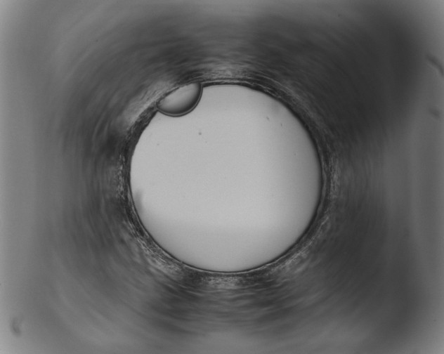 X0000103411211200809261635