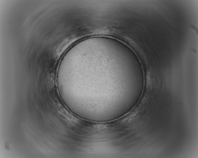 X0000103411212200809261635