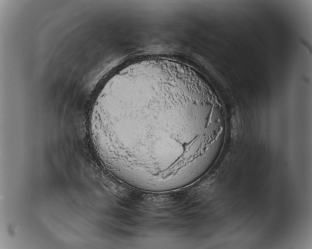 X0000103411213200809261635