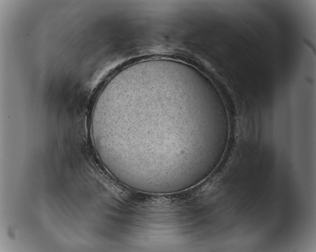 X0000103411214200809261635