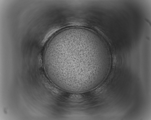 X0000103411215200809261635