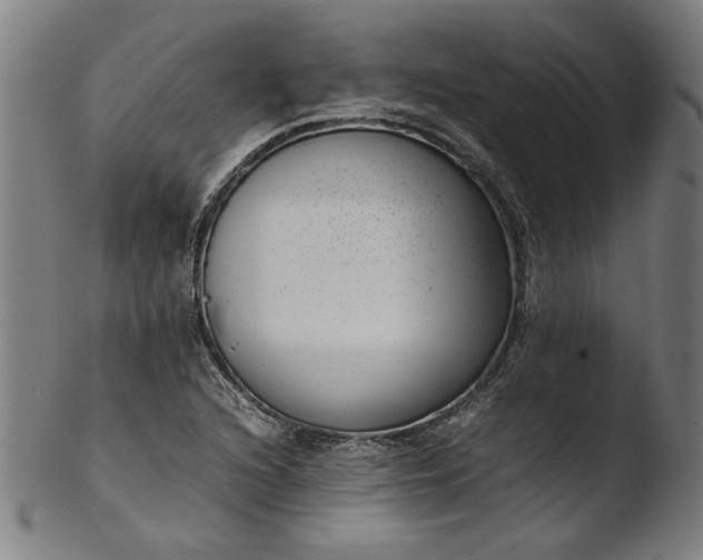 X0000103411216200809261635