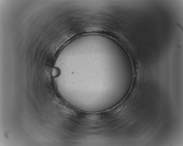 X0000103411217200809261635