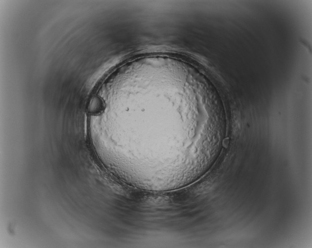 X0000103411221200809261635