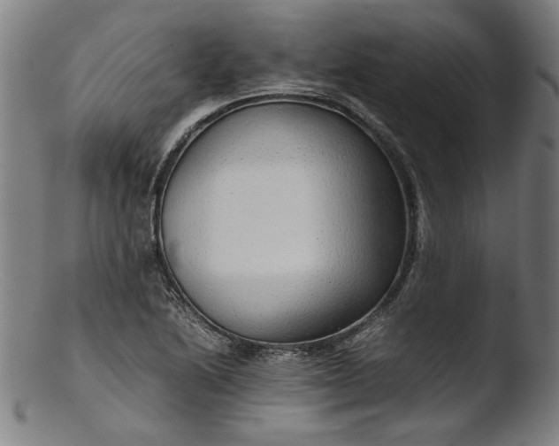 X0000103411222200809261635