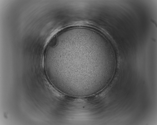 X0000103411224200809261636