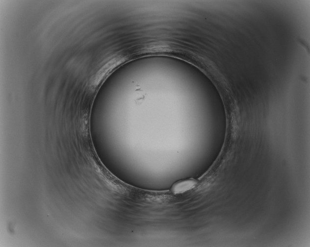 X0000103411225200809261636