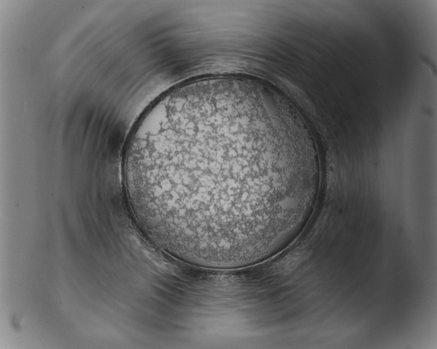 X0000103411226200809261636