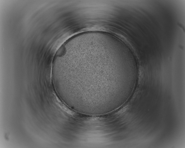 X0000103411228200809261636