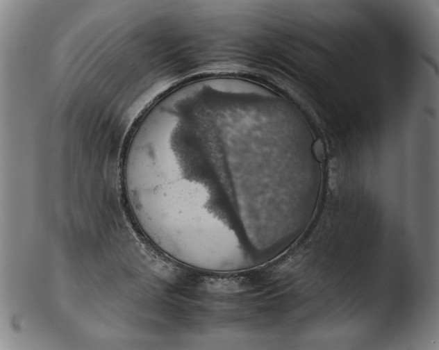 X0000103411229200809261636