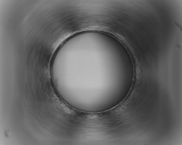 X0000103411230200809261636