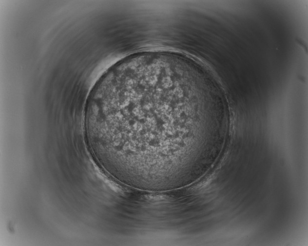 X0000103411231200809261636