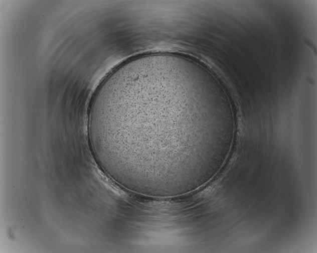 X0000103411232200809261636