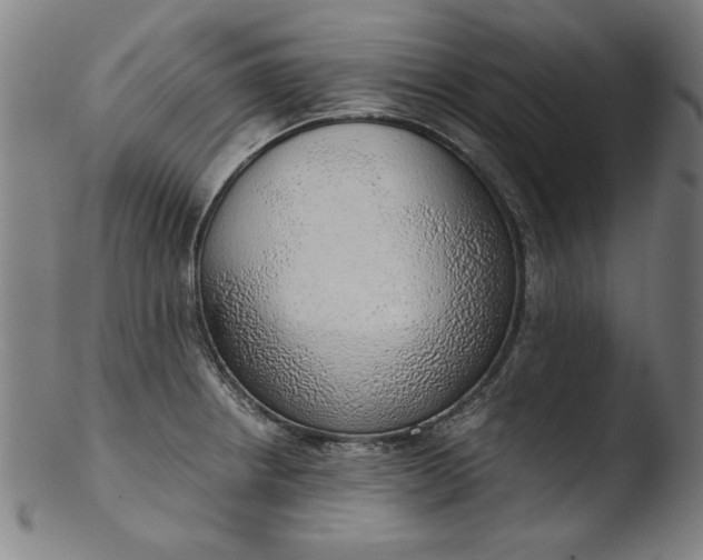 X0000103411234200809261636