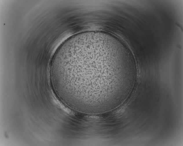 X0000103411235200809261636