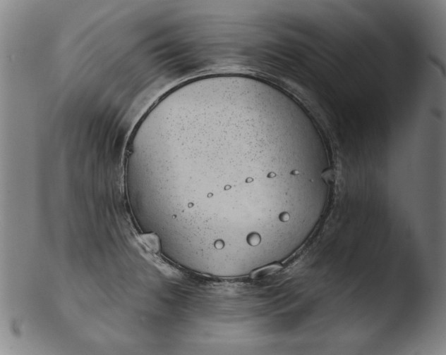 X0000103411236200809261636