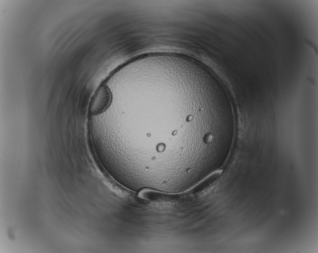 X0000103411237200809261636