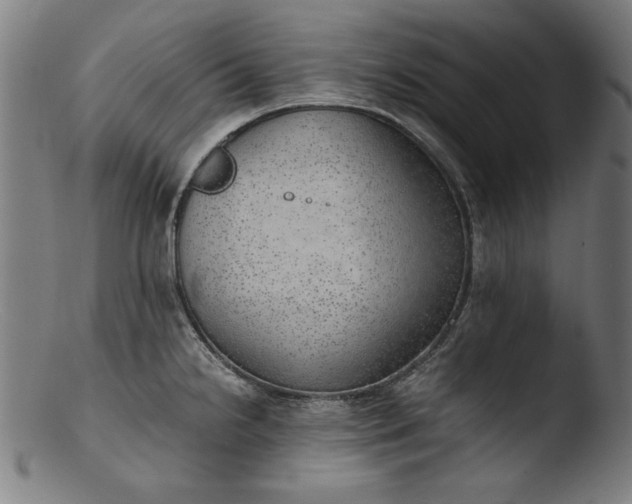 X0000103411238200809261636