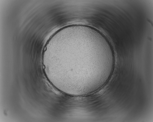 X0000103411240200809261636