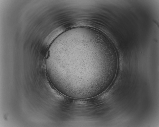 X0000103411241200809261636