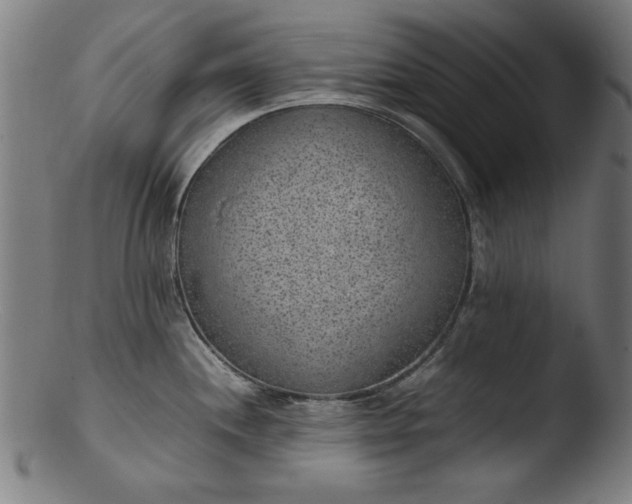 X0000103411244200809261636