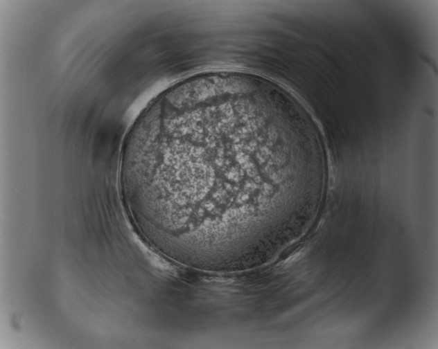 X0000103411245200809261636