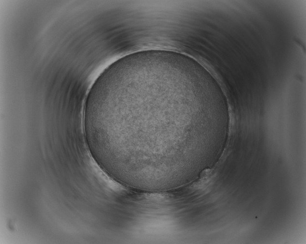 X0000103411246200809261636