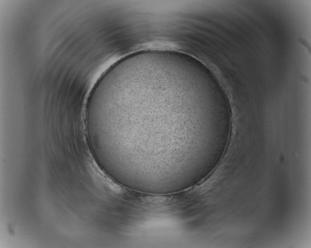 X0000103411248200809261636