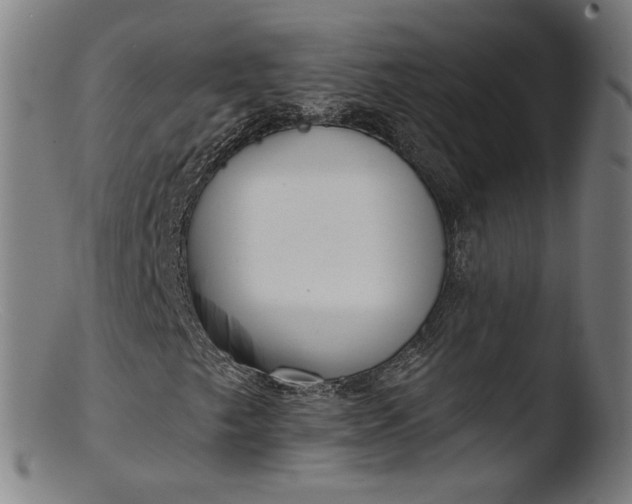 X0000103411249200809261635