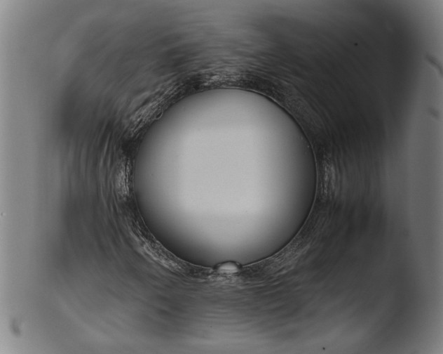 X0000103411250200809261635