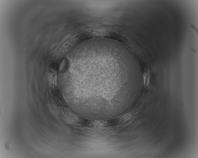 X0000103411251200809261635