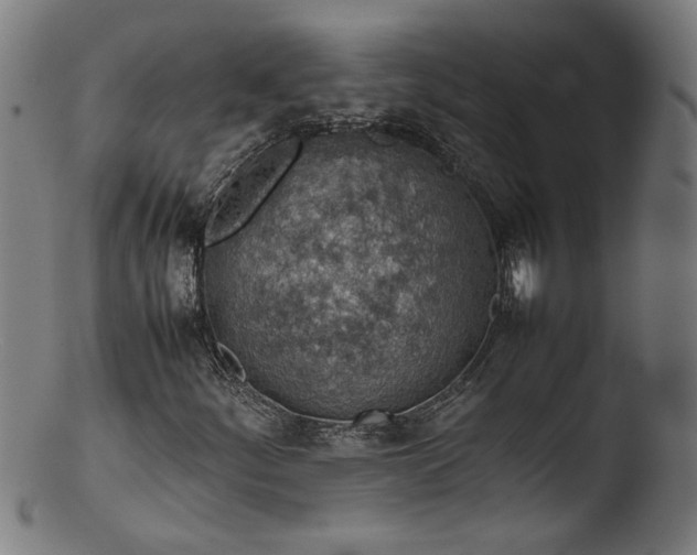 X0000103411252200809261635