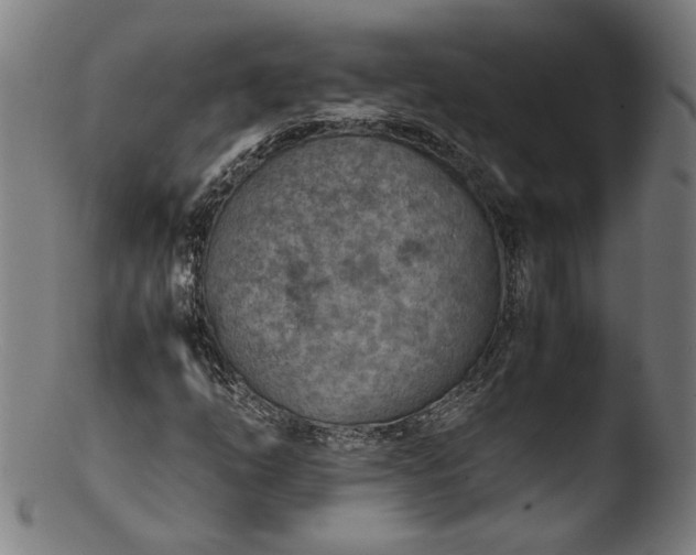 X0000103411254200809261635