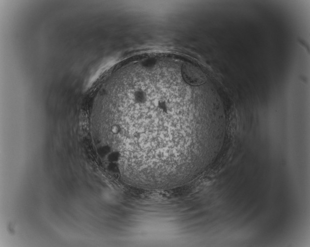 X0000103411255200809261635