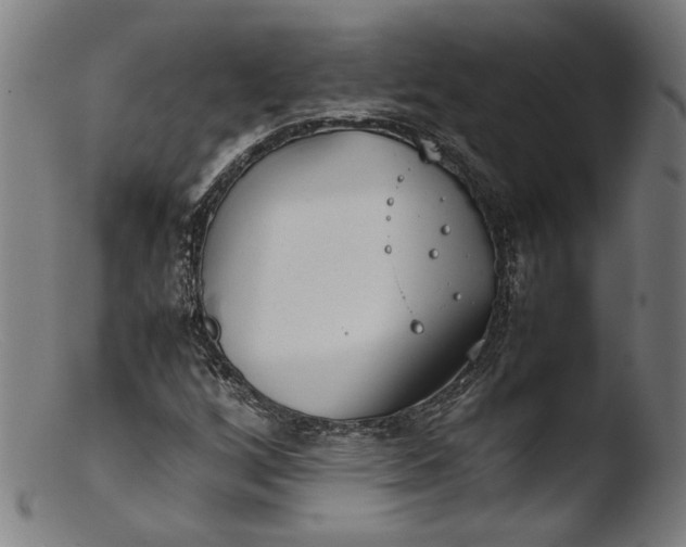 X0000103411256200809261635