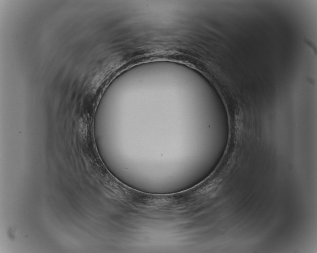 X0000103411257200809261635