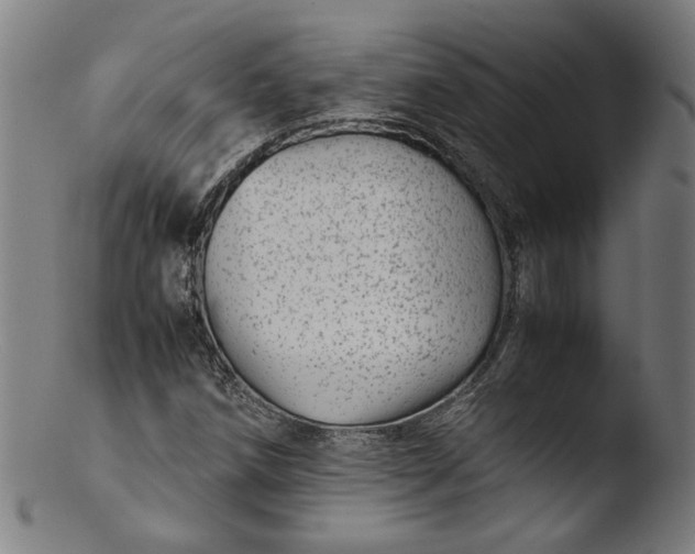 X0000103411258200809261635