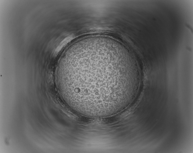 X0000103411259200809261635