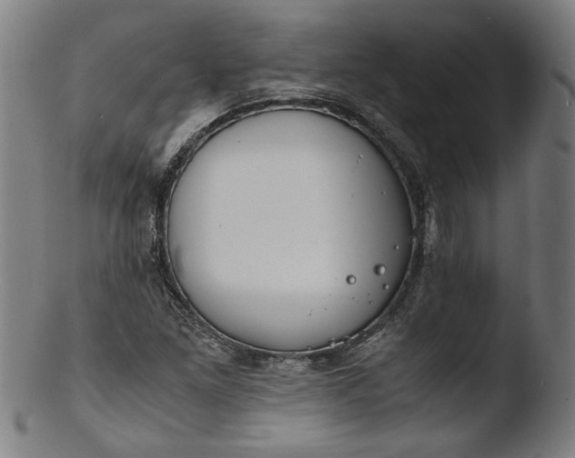 X0000103411261200809261635