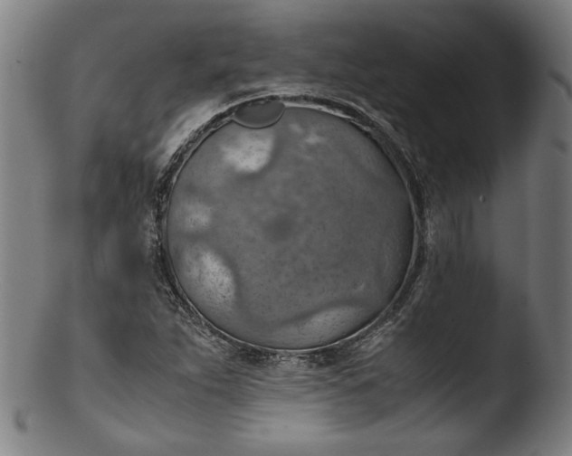 X0000103411263200809261635