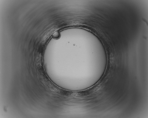 X0000103411265200809261635