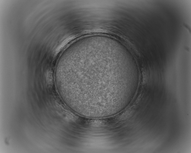 X0000103411266200809261635