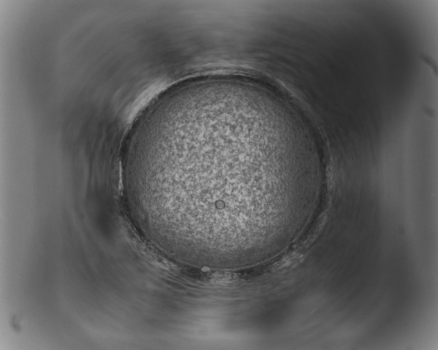 X0000103411267200809261635